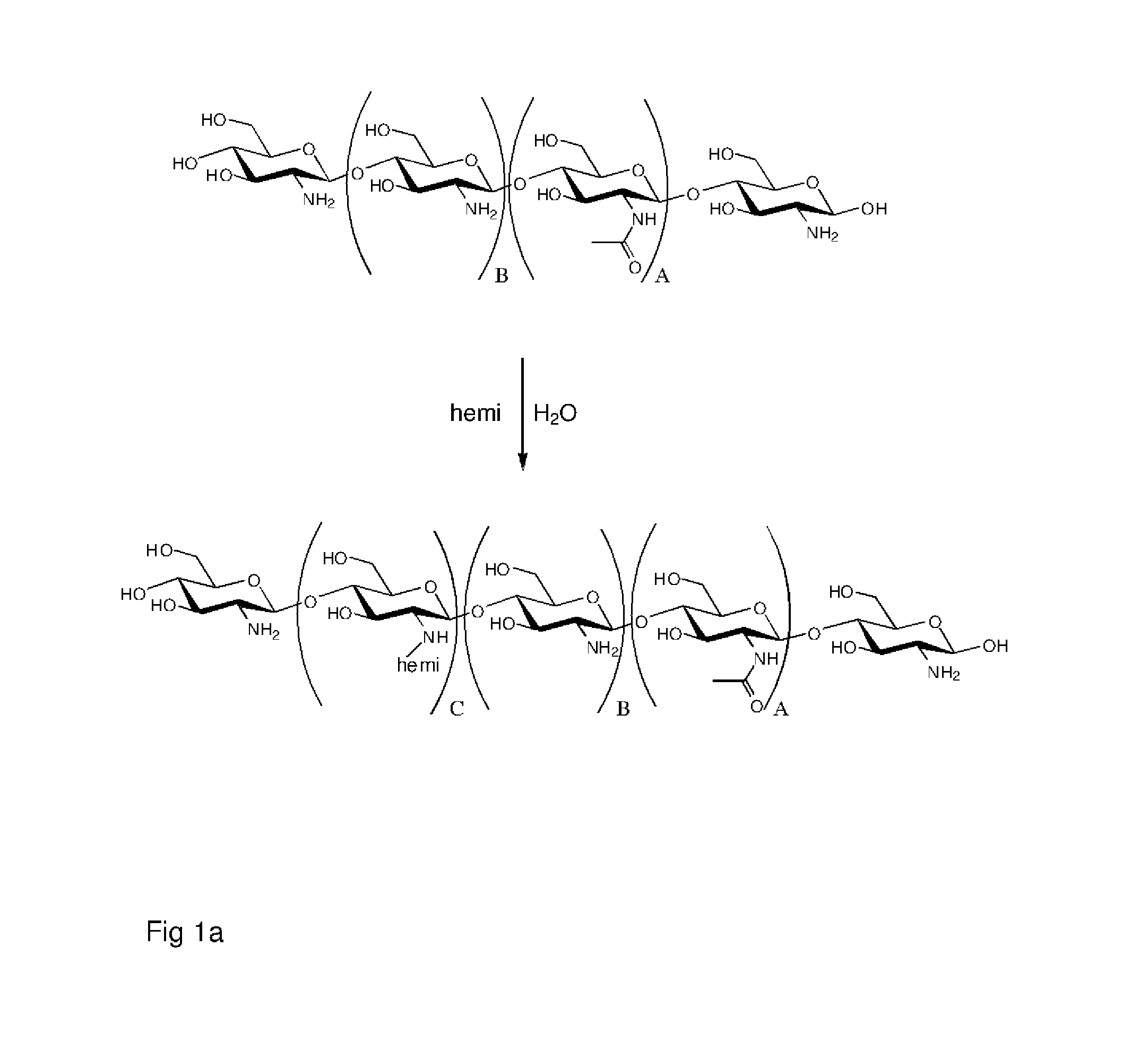 Polymer made of a primary amine functionalized polymer and a hemicellulose