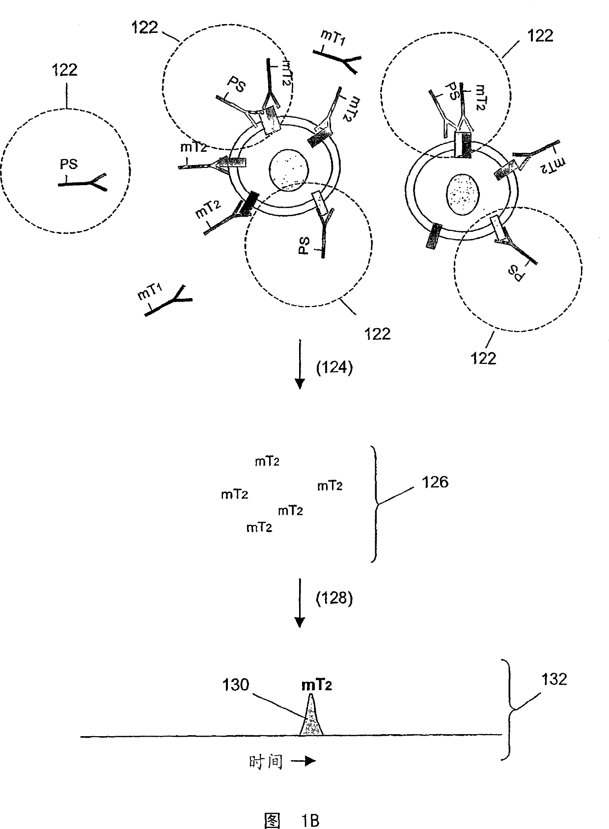 Surface receptor complexes as biomarkers