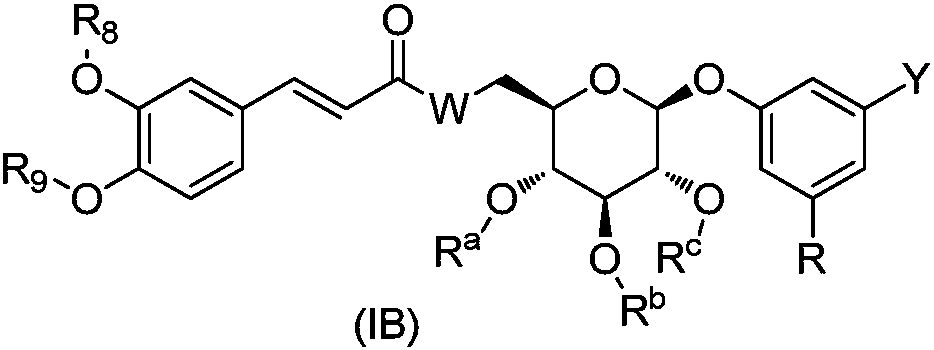 O-aryl glycoside derivative, pharmaceutical composition and application thereof