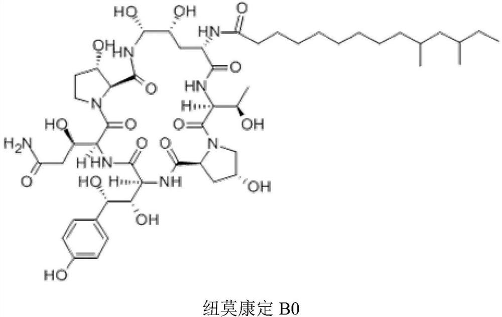 A kind of extraction and purification method of pneumocidine b0