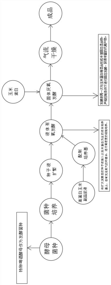 Animal feed yeast body protein and preparation method thereof