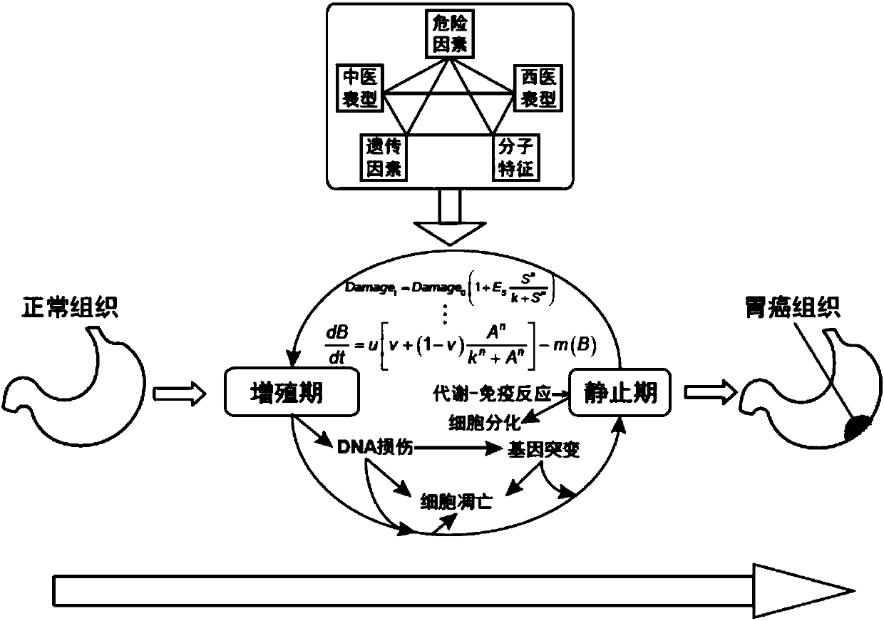 Artificial intelligence modeling method facing to macro and micro multi-dimensional early risk assessment of gastric cancer