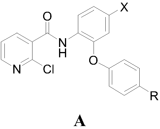 4-bromine-2-picolinamide compound containing diphenyl ether structure