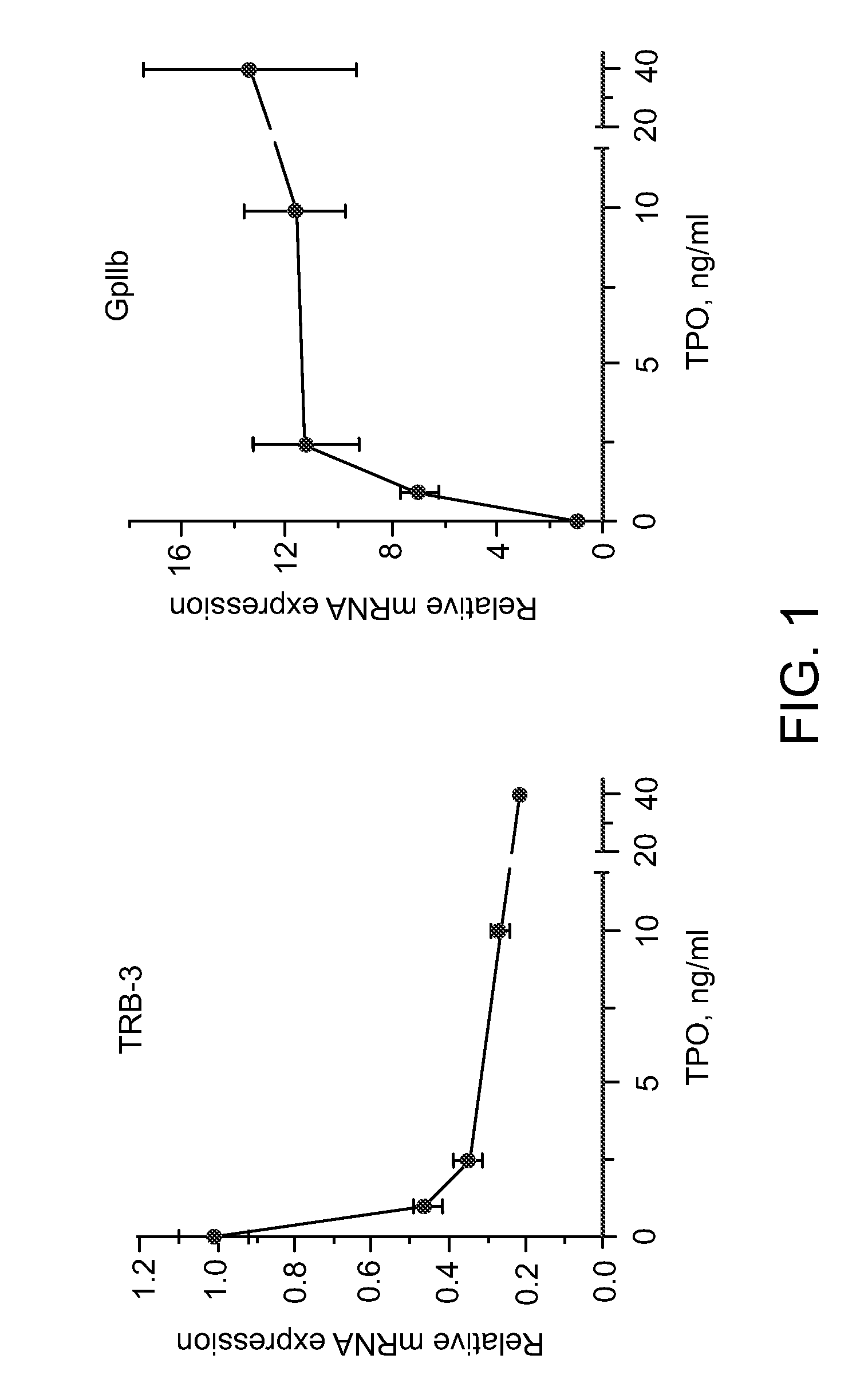 Assays for agents affecting megakaryocyte development