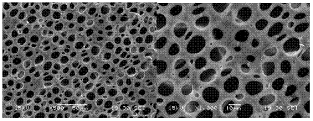 Degradable aliphatic polycarbonate film and preparation method thereof
