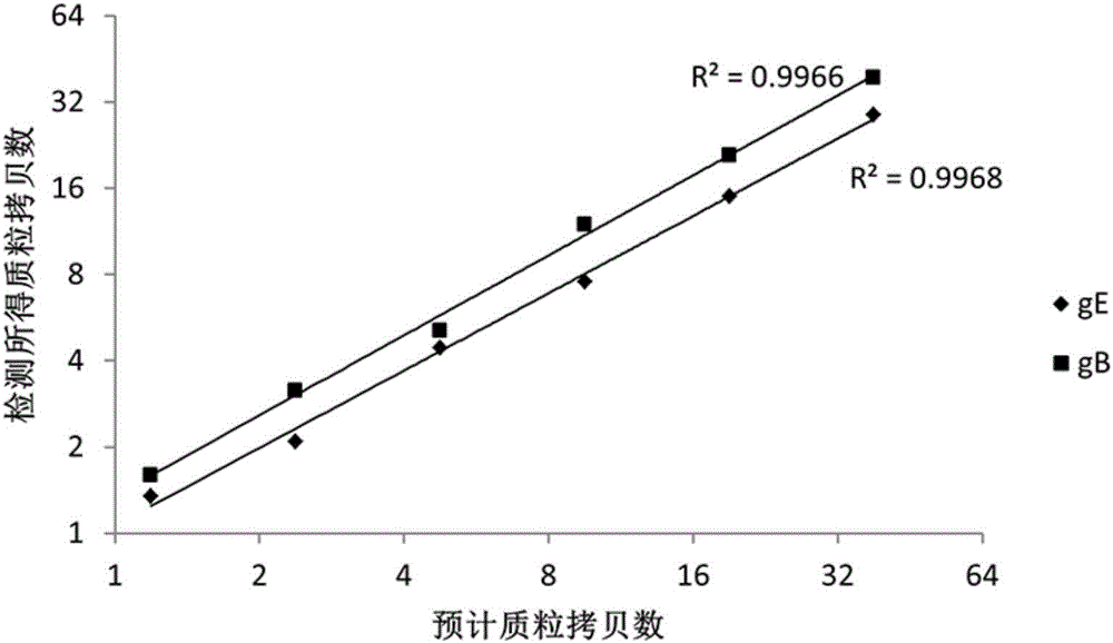 Nucleic acid combination for detecting pseudorabies virus and application of nucleic acid combination, and kit and method for detecting pseudorabies virus