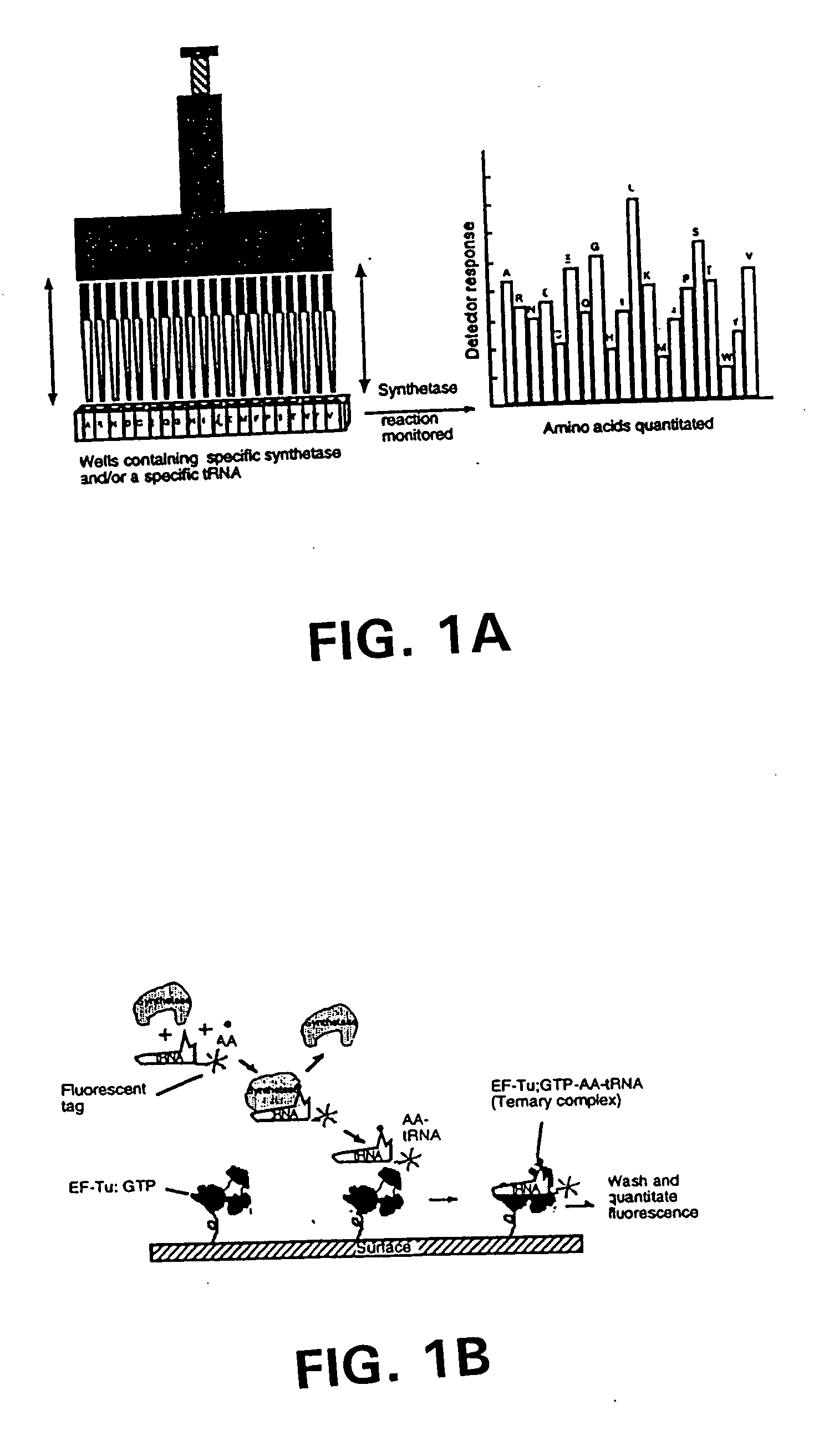 Method and system for rapid biomolecular recognition of amino acids and protein sequencing
