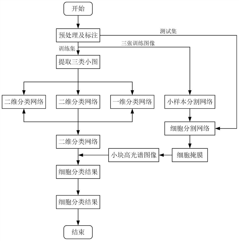 Lung brush film cell identification and segmentation method based on deep learning