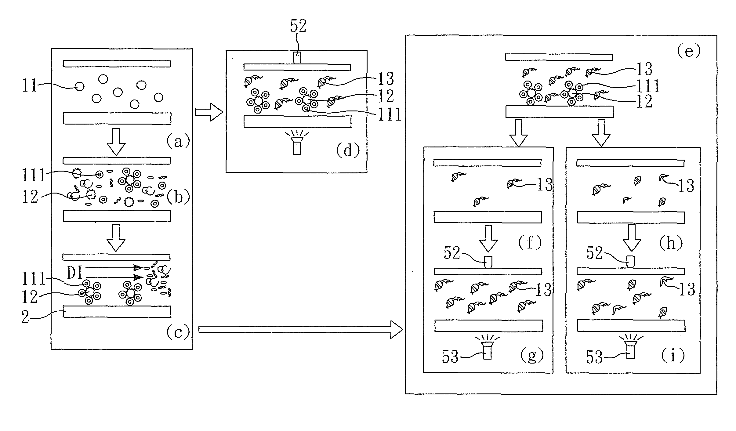 Method for detecting mitochondria gene alterations