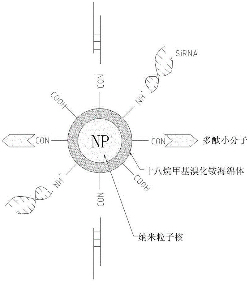 modified sio  <sub>2</sub> Preparation equipment and preparation method of nanocarrier