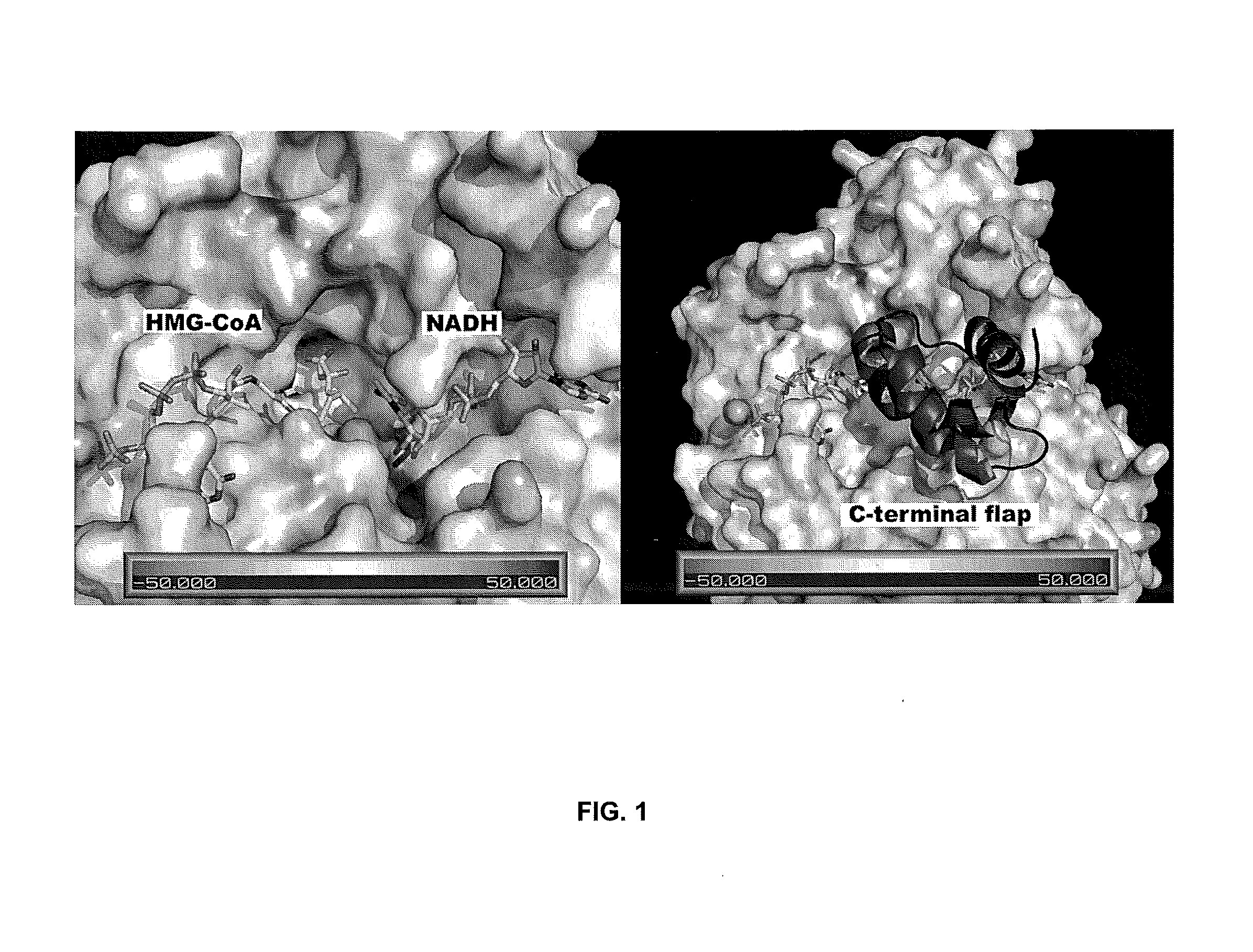 Class ii hmg-coa reductase inhibitors and methods of use