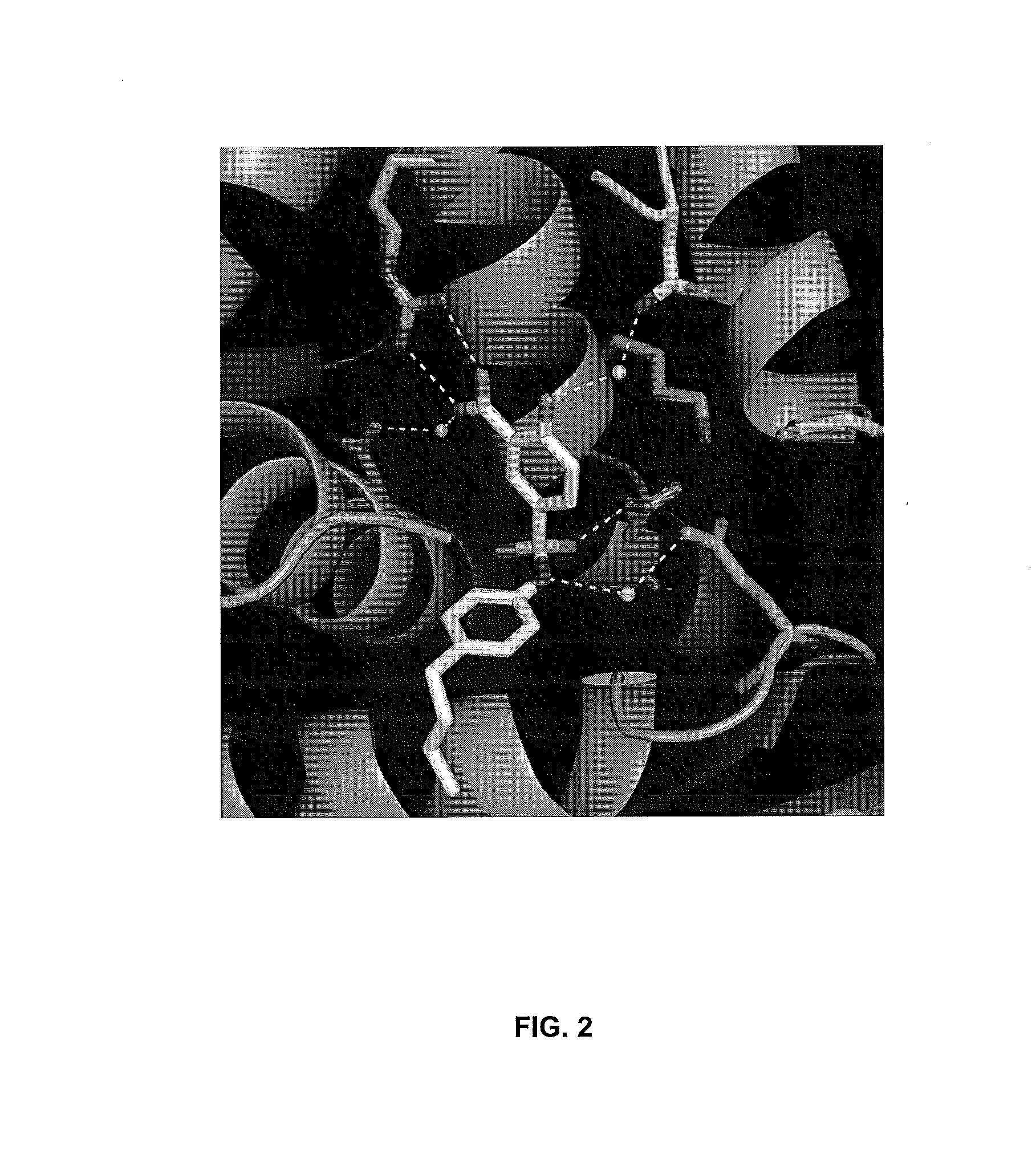 Class ii hmg-coa reductase inhibitors and methods of use