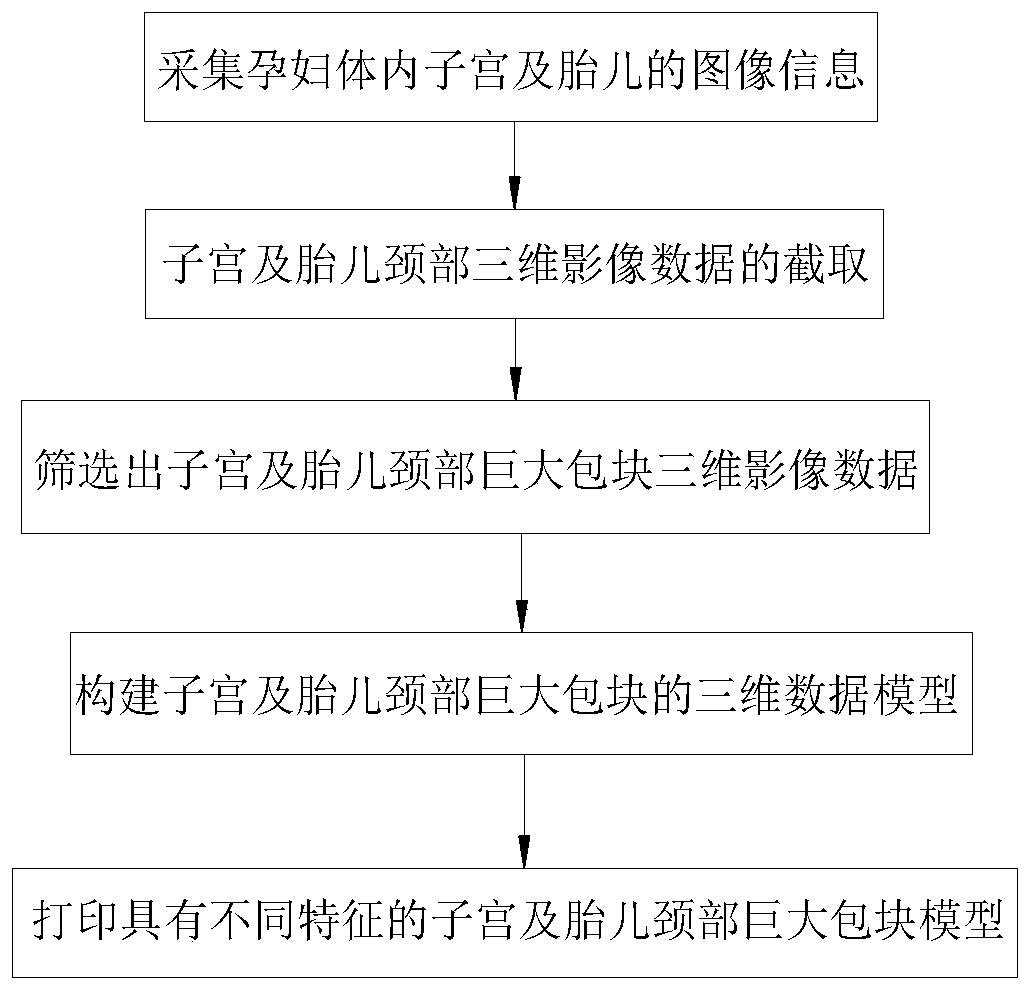 Method for constructing model of huge mass in uterus and fetal neck