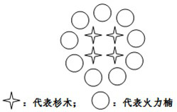 A natural-like construction method of Chinese fir and Phoebe mixed forest