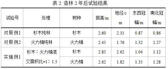 A natural-like construction method of Chinese fir and Phoebe mixed forest