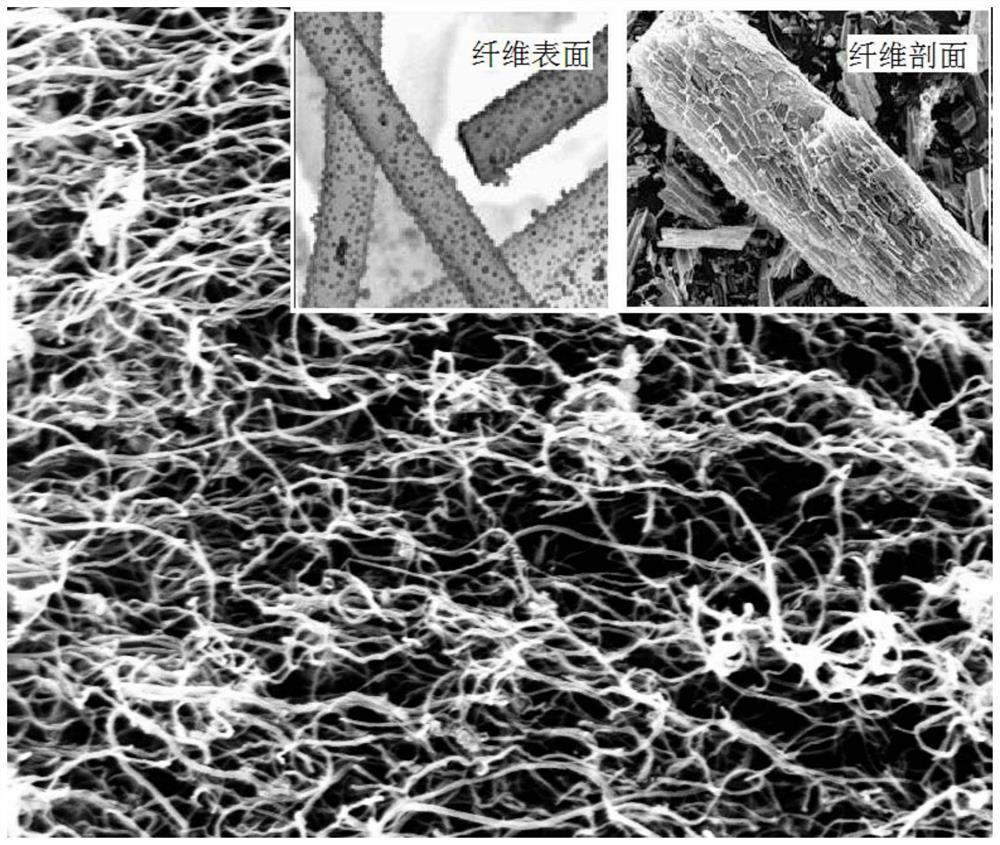 Carbon paper for gas diffusion layer, preparation method of carbon paper and fuel cell