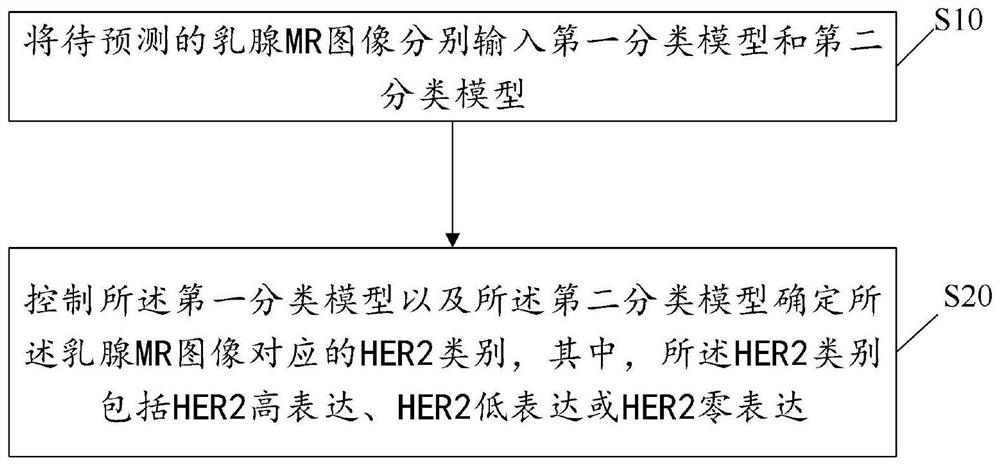 Prediction method of breast cancer HER2 state and related equipment