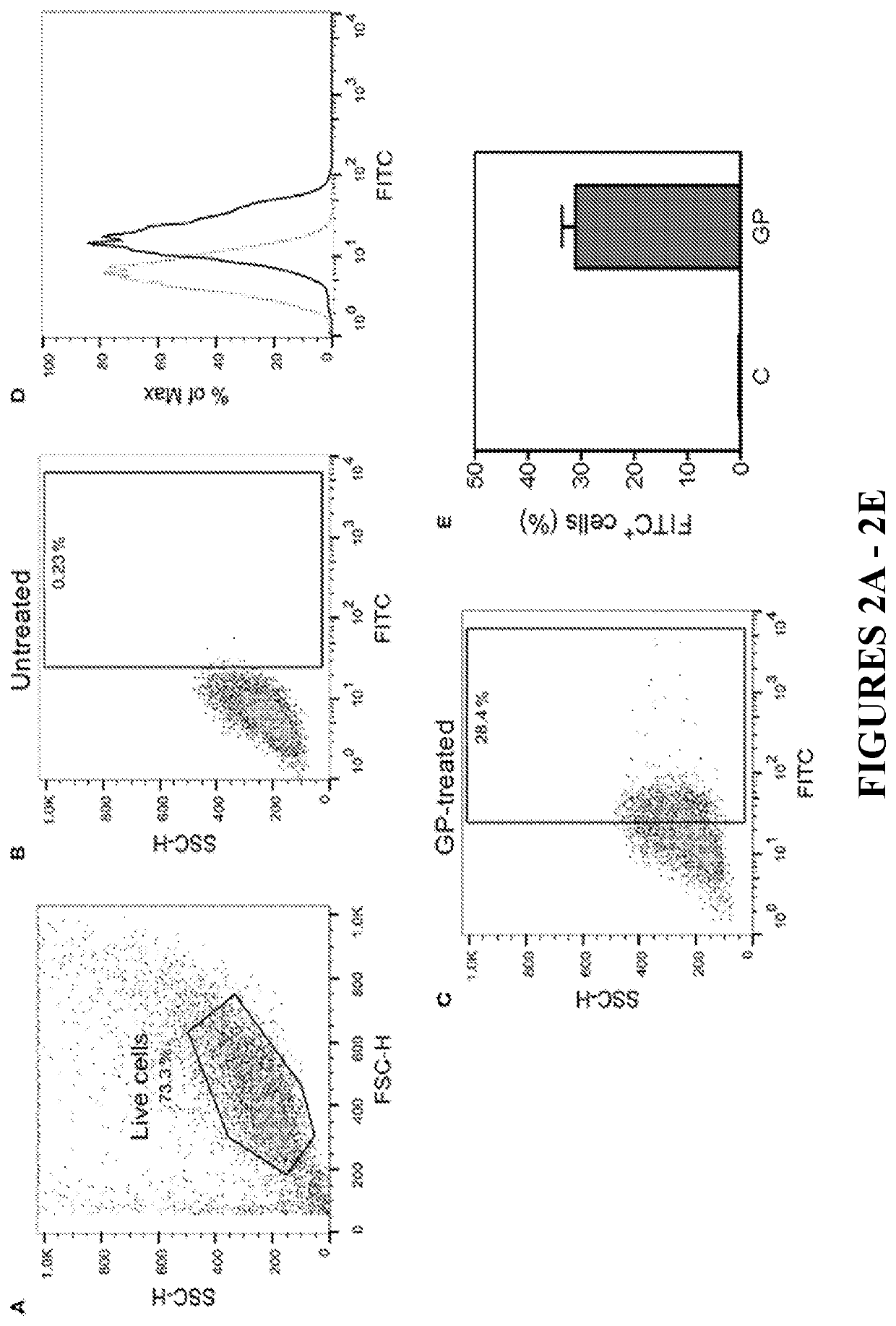 Immune activation triggered by filovirus proteins and polypeptides