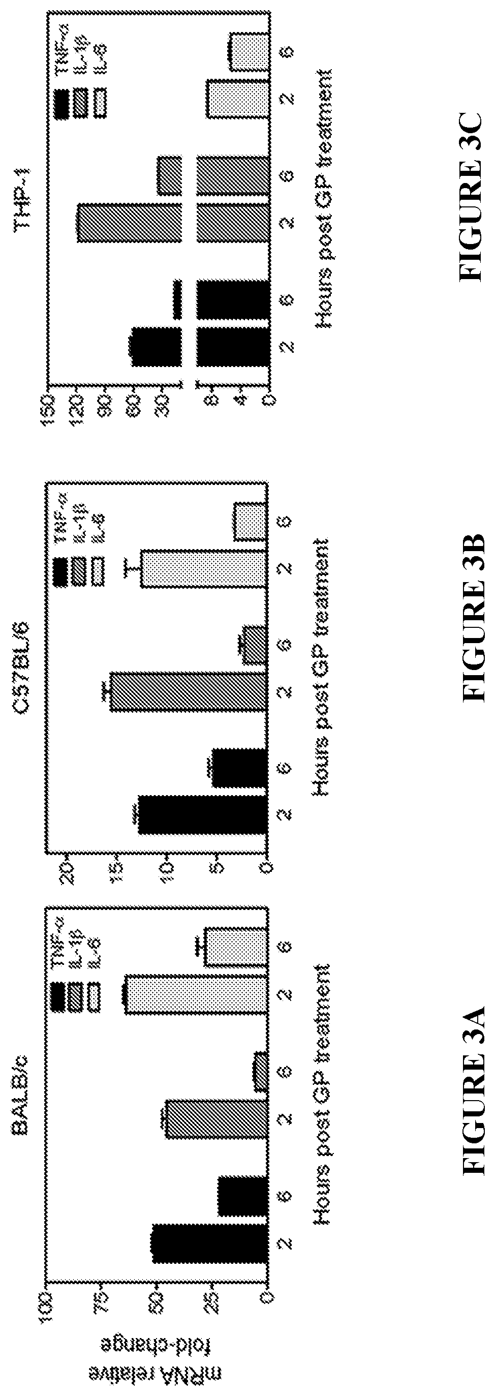 Immune activation triggered by filovirus proteins and polypeptides