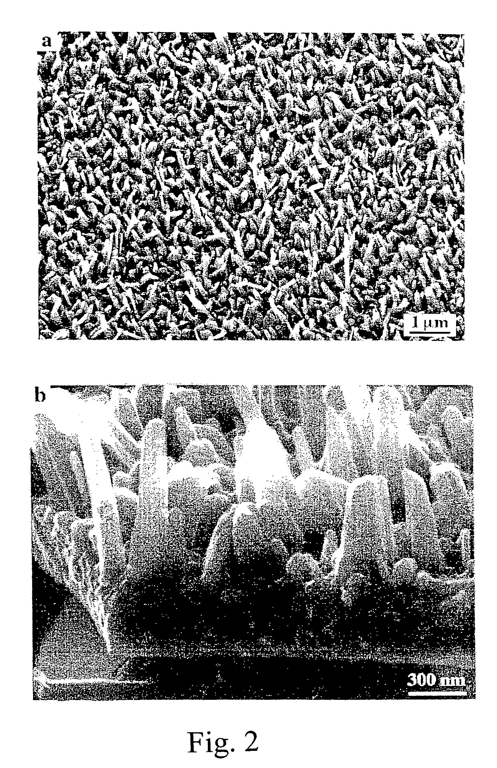 Protected alloy surfaces in microchannel apparatus and catalysts, alumina supported catalysts, catalyst intermediates, and methods of forming catalysts and microchannel apparatus