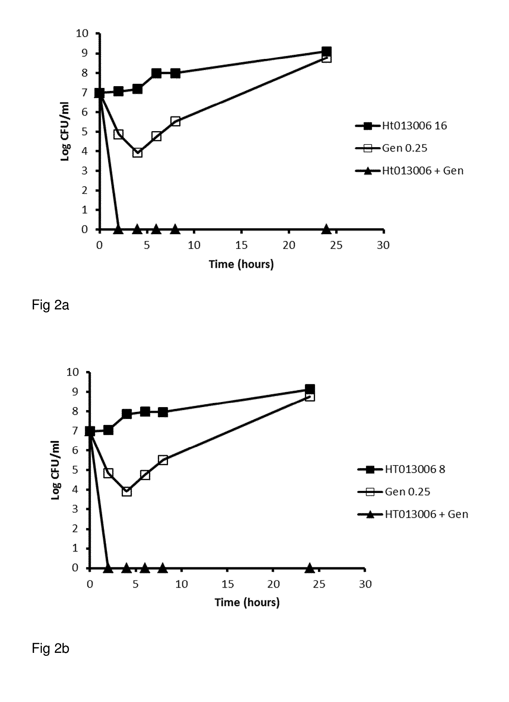 Combination of nordihydroguaiaretic acid and an aminoglycoside