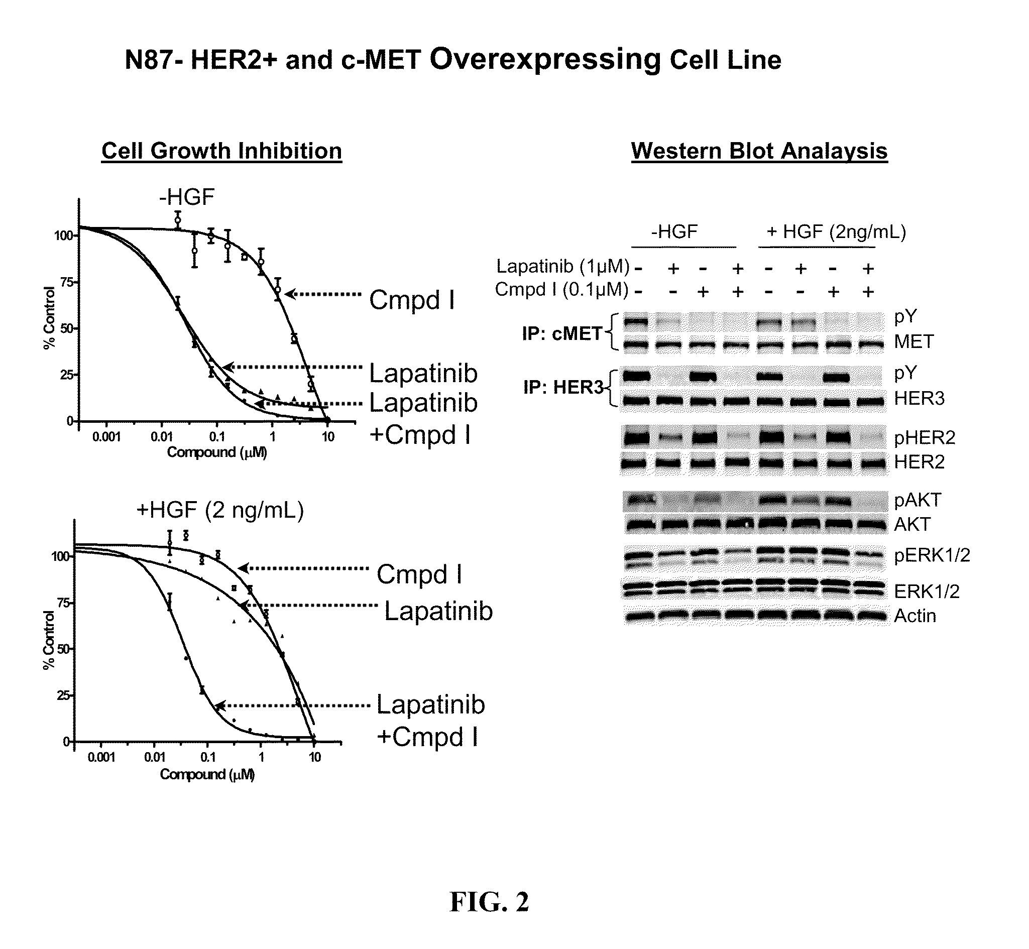 Method of Treating Cancer using a cMet and AXL Inhibitor and an ErbB Inhibitor