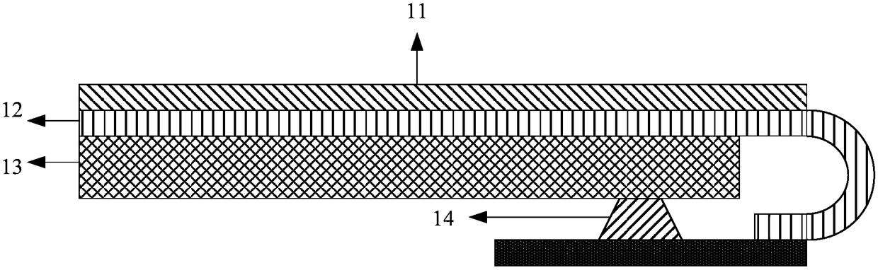 Flexible display screen and flexible display device