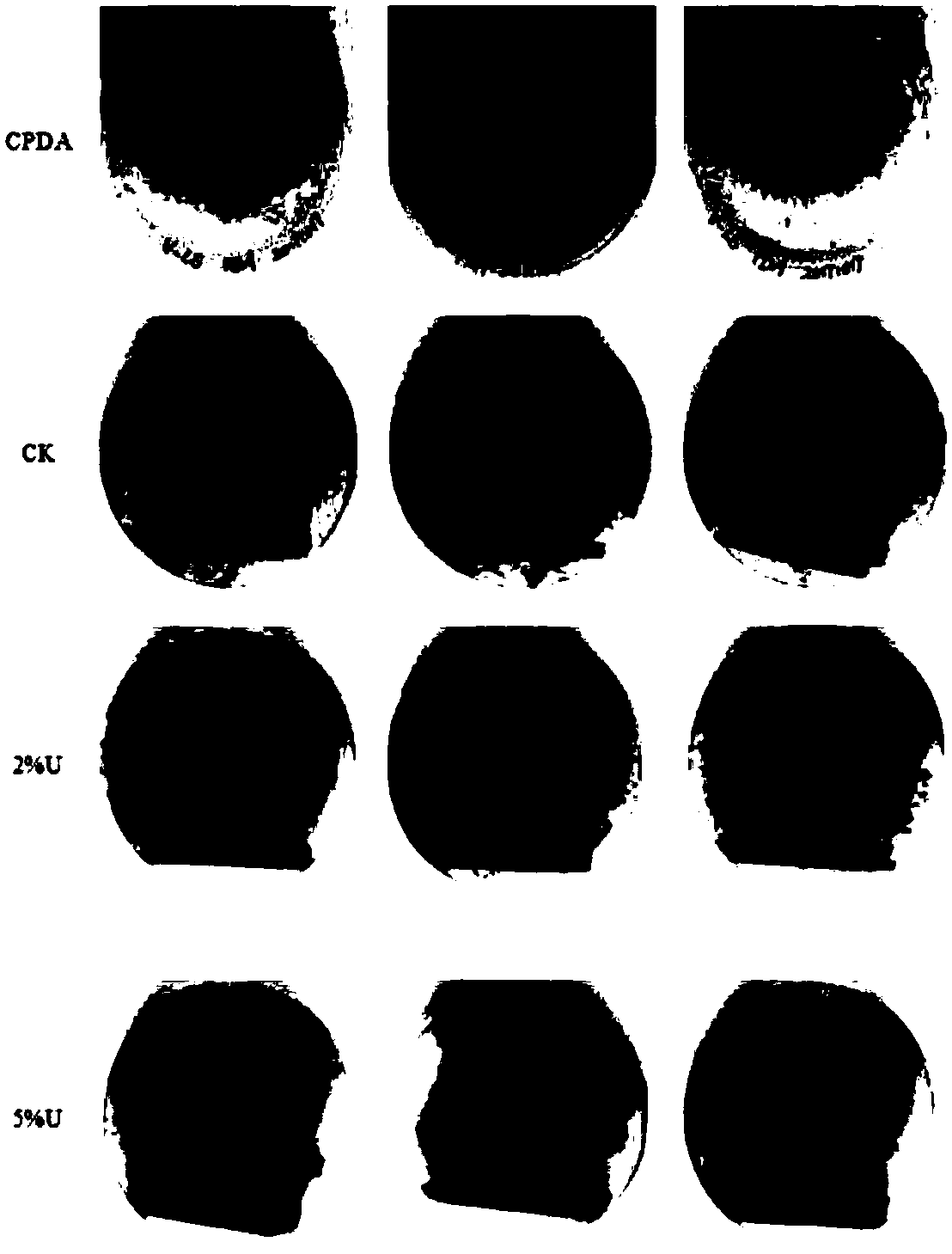 Culture medium preparation method for straw mushroom strain preservation, culture medium and preservation method thereof