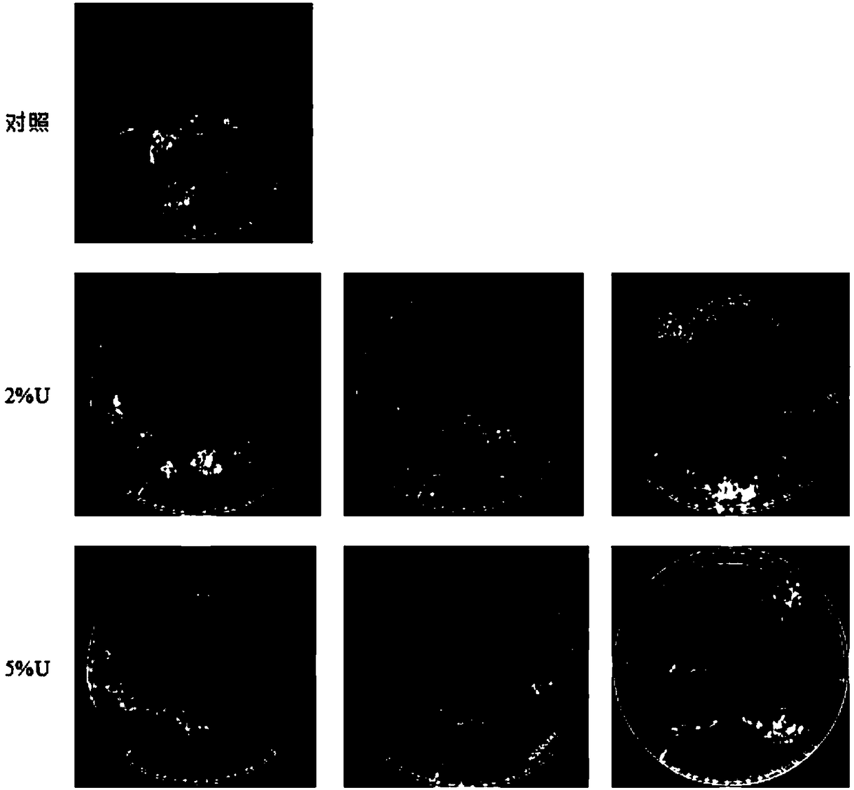 Culture medium preparation method for straw mushroom strain preservation, culture medium and preservation method thereof