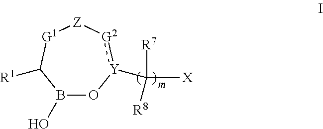 Heterocyclic boronic acid ester derivatives and therapeutic uses thereof
