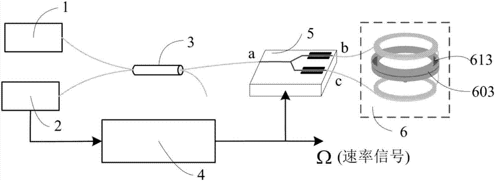 A fiber optic gyroscope with a double-ring design for the fiber optic ring