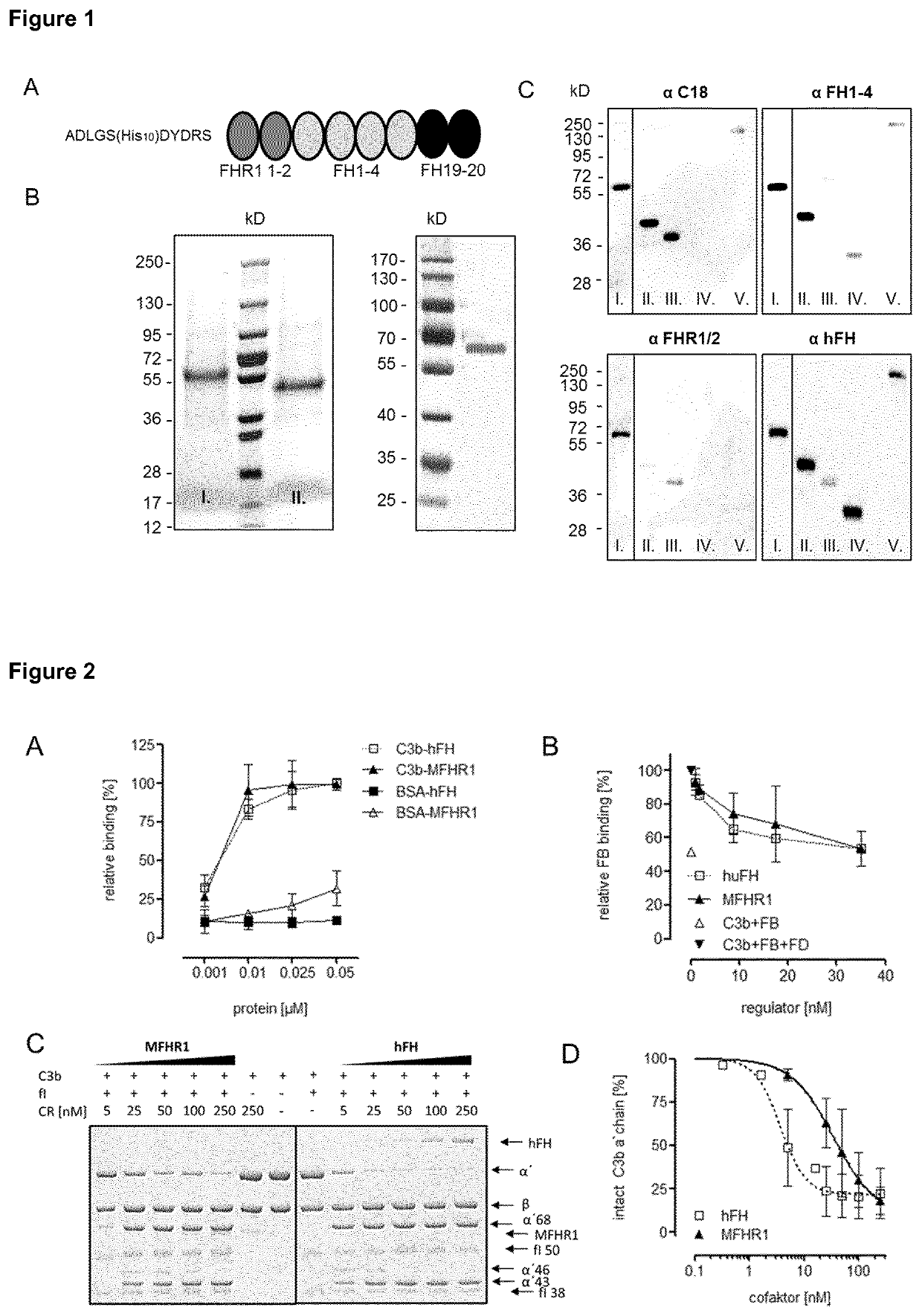 Polypeptides for inhibiting complement activation