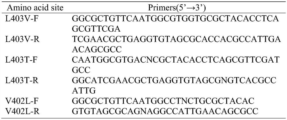 Amidase Mutant and Its Application in Catalytic Synthesis of 2-Chloronicotinic Acid