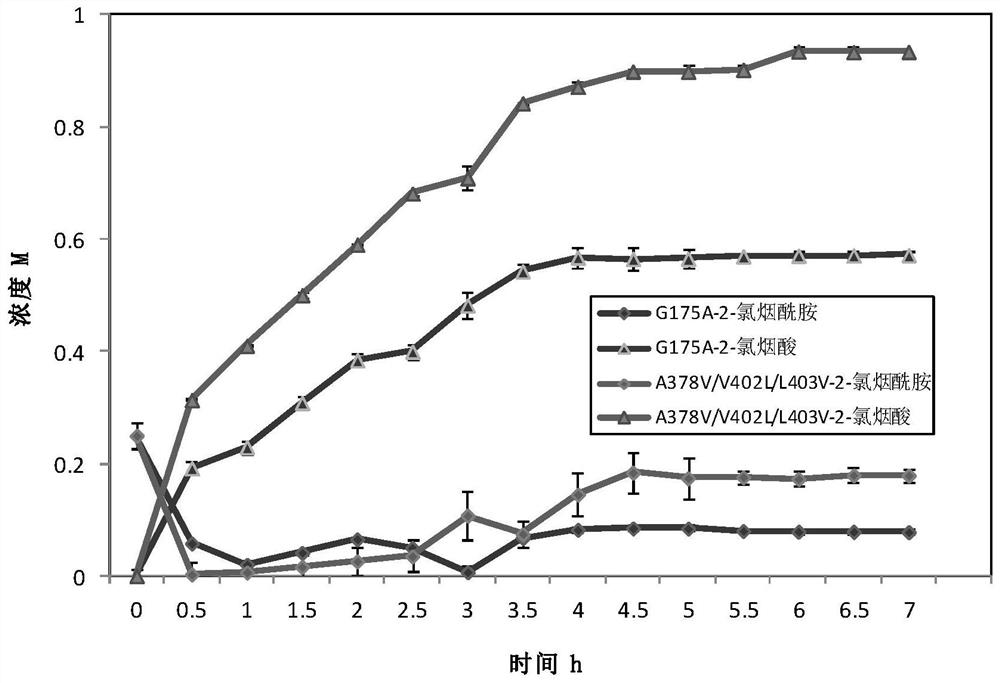 Amidase Mutant and Its Application in Catalytic Synthesis of 2-Chloronicotinic Acid