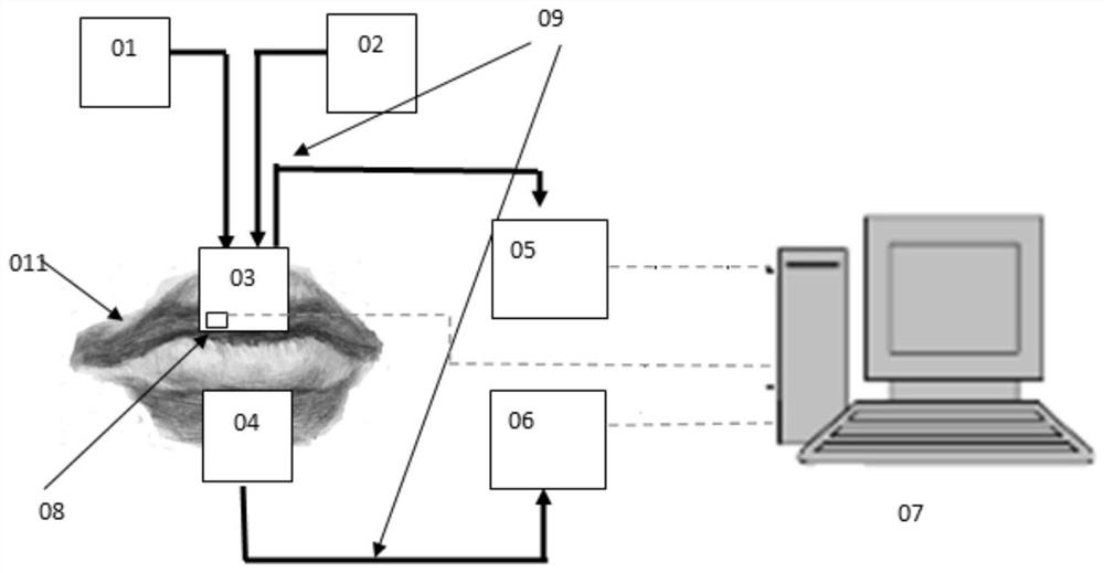 A detection method for non-invasive measurement of blood glucose concentration based on lip optics