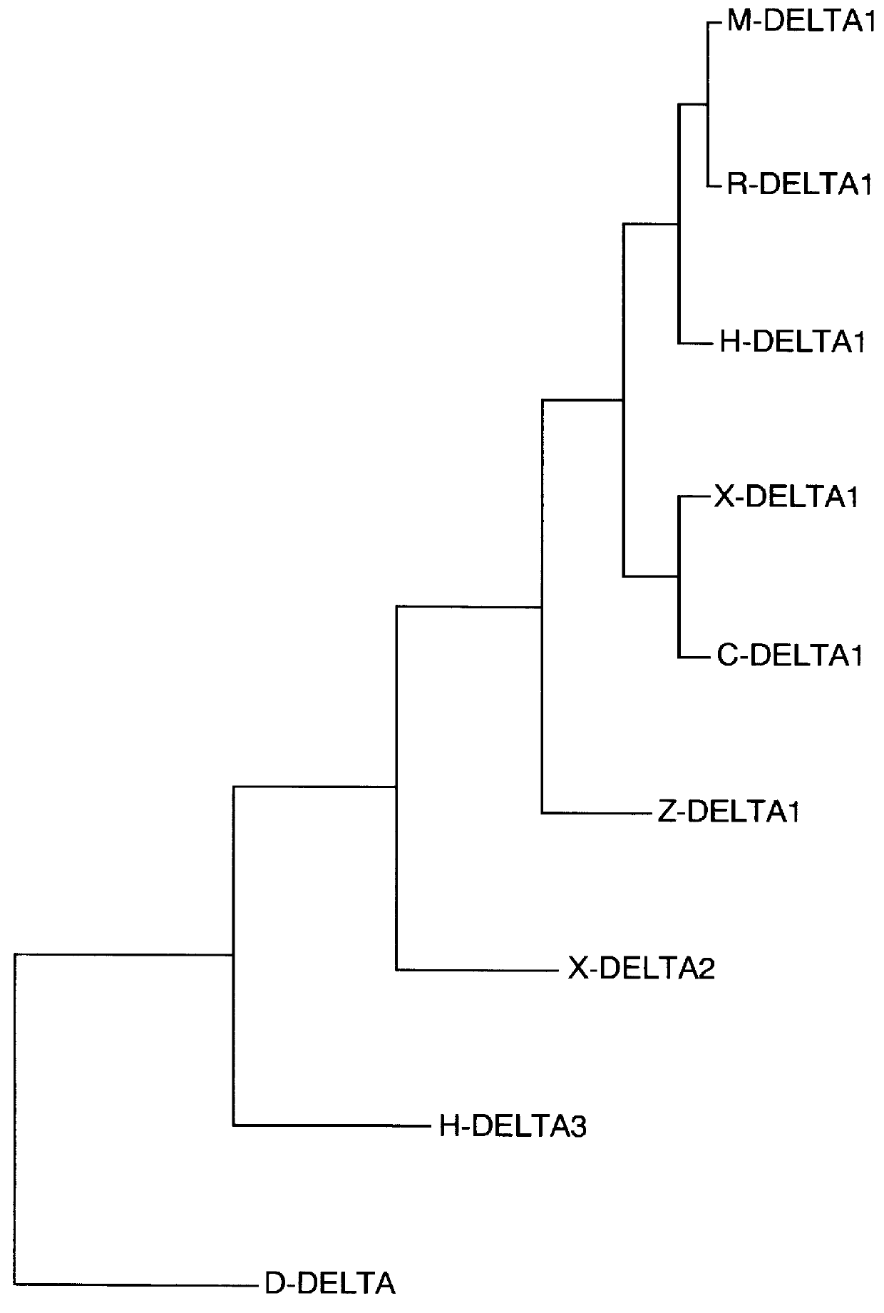 Human Delta3 nucleic acid molecules