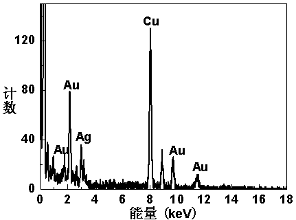 Method for manufacturing gold-solver alloy nanometer particles through sugarcane extract
