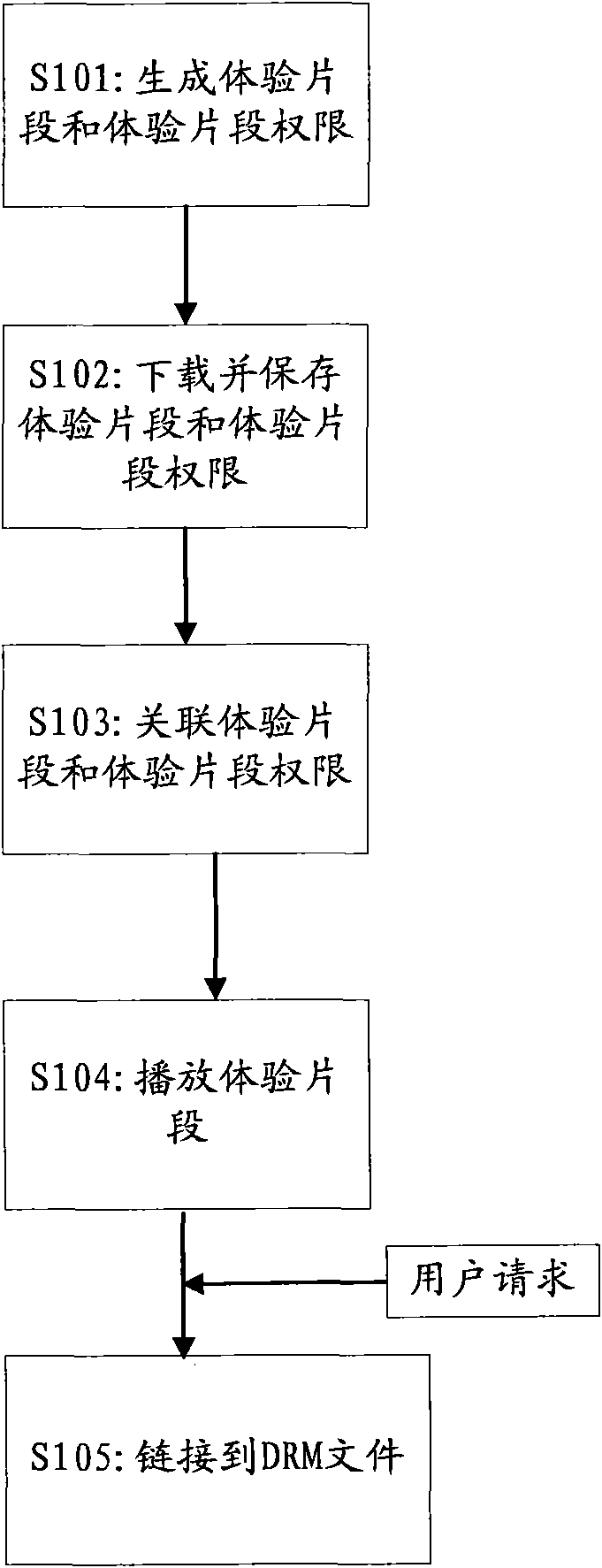 Method and system for processing DRM file