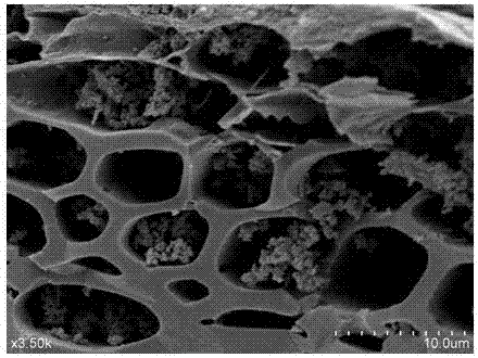 Preparation method of cystamine modified charcoal for adsorbing heavy metal cadmium ions