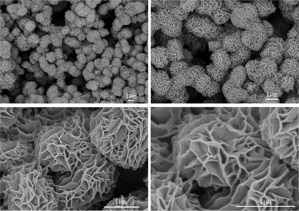 Method for preparing multi-tunnel cobaltosic oxide flower-like microspheres by solvothermal method