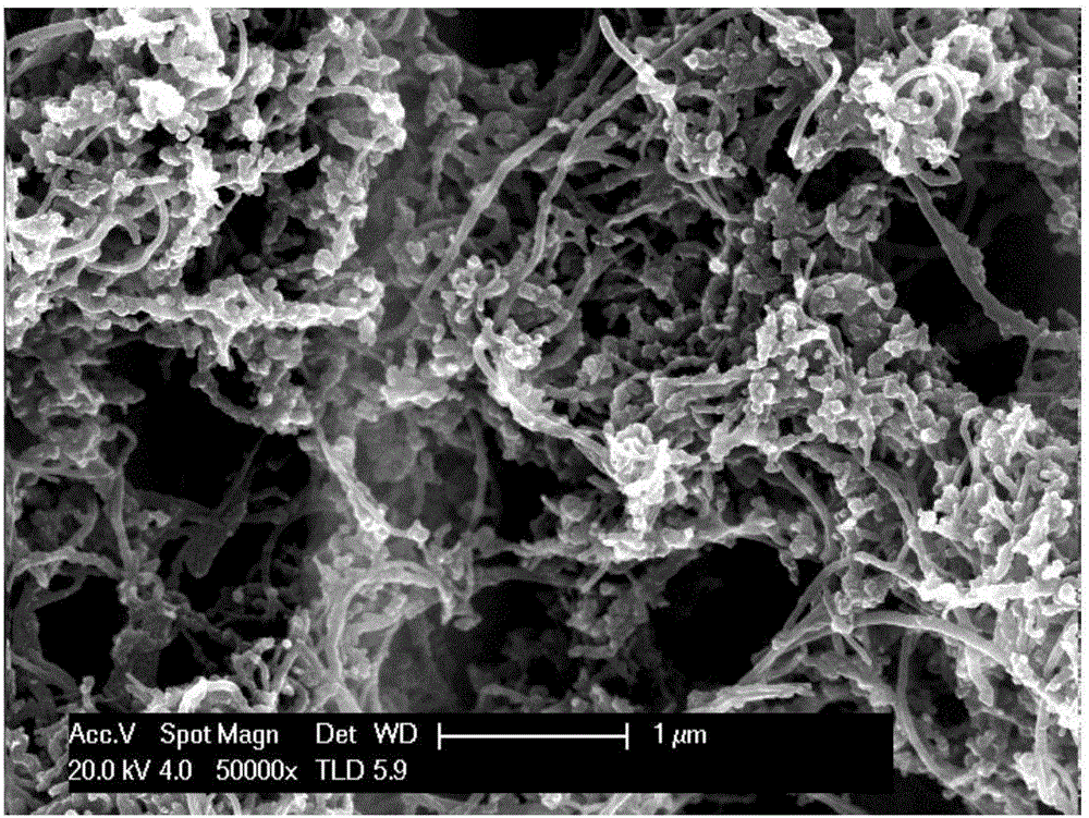 Preparation method for carbon nanotube super-hydrophobic coating