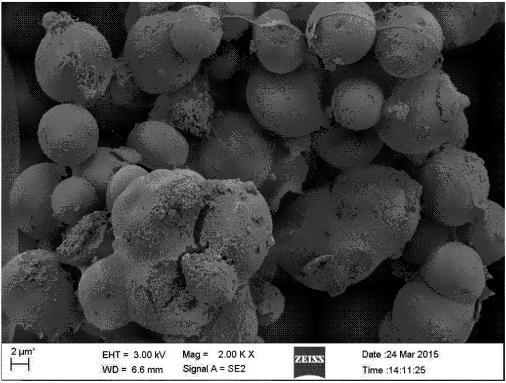 Method for preparing skin regeneration material loaded with bioactive glass particles