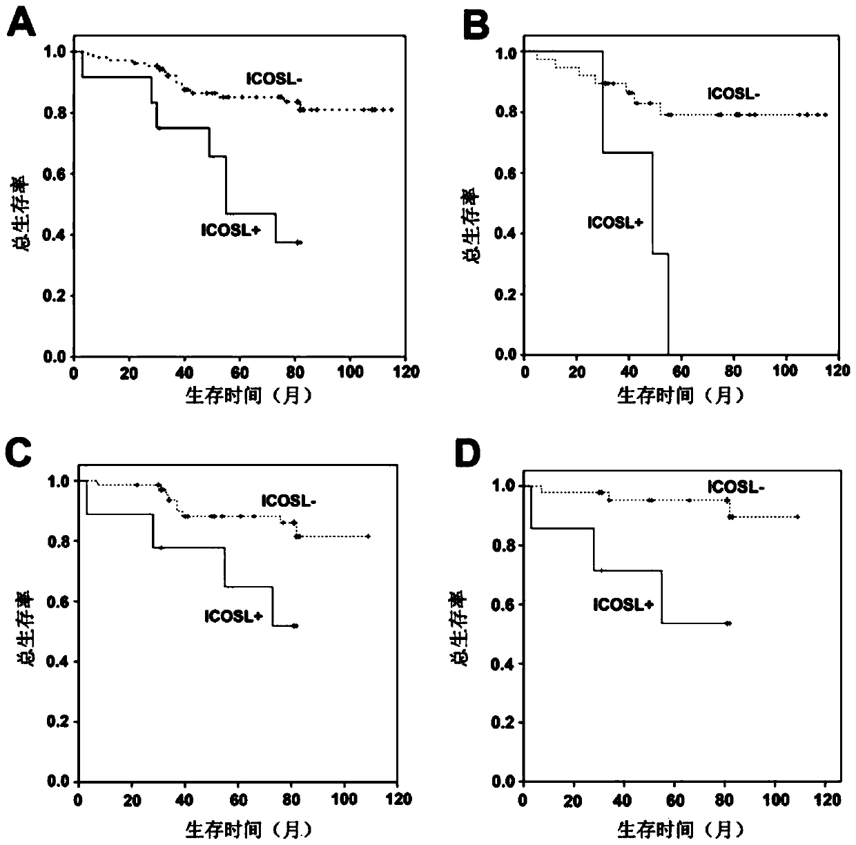 Application of ICOSL protein in preparation of kit used for breast cancer prognosis evaluation