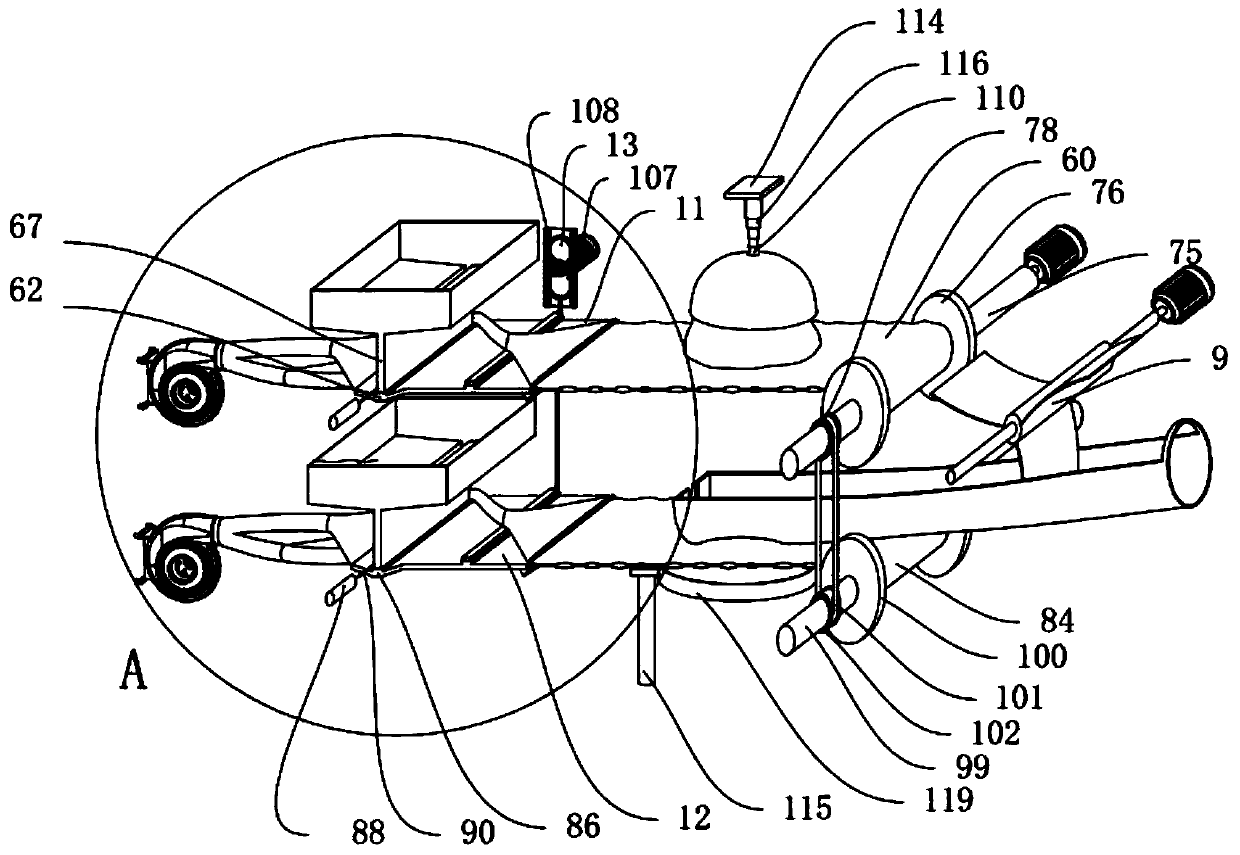 Processing equipment for insect self-loading observation and dissection transition box