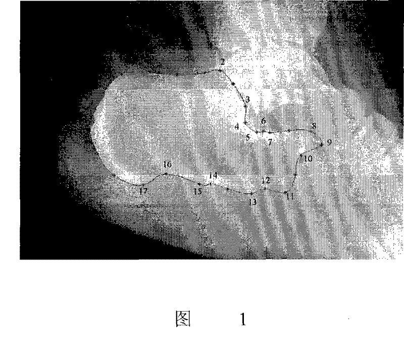 A Method of Graph Distortion Analysis Based on Invariant Moments