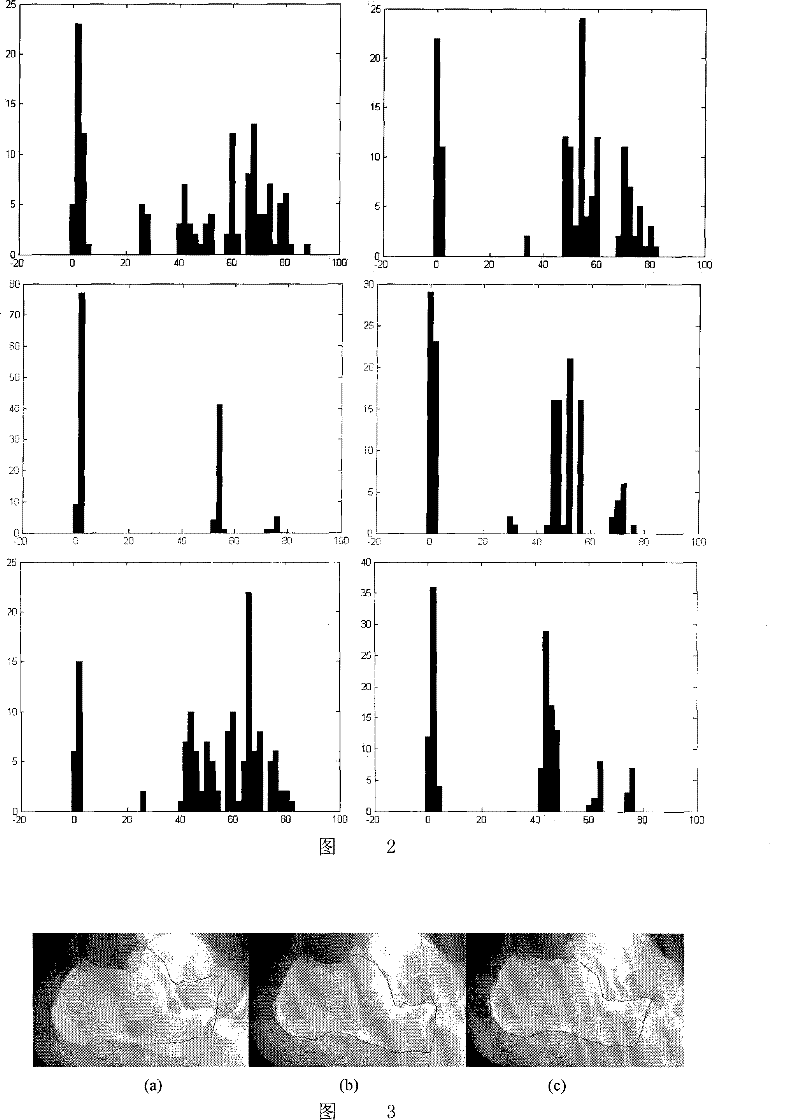 A Method of Graph Distortion Analysis Based on Invariant Moments