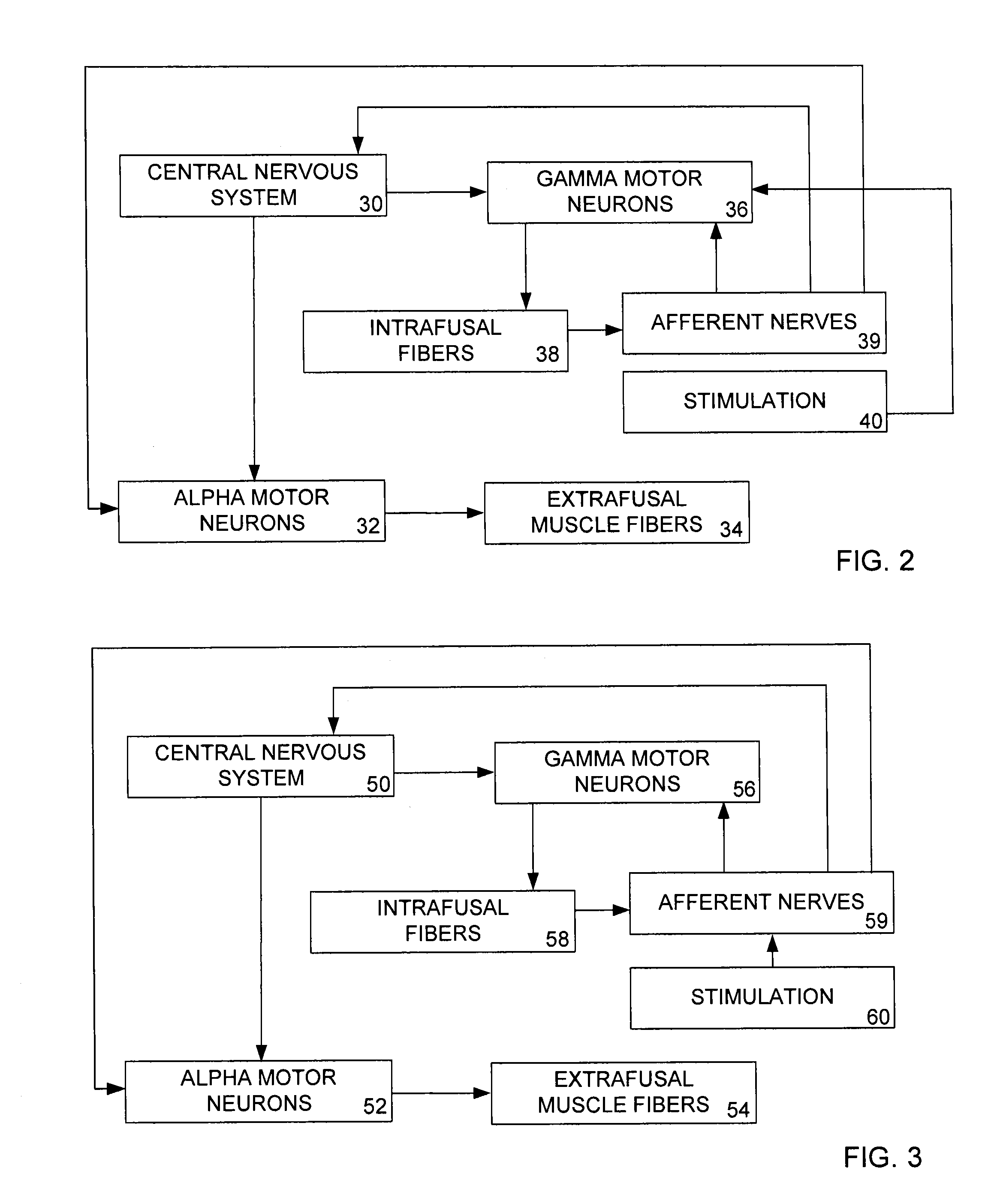 Method and apparatus for the treatment of focal dystonia