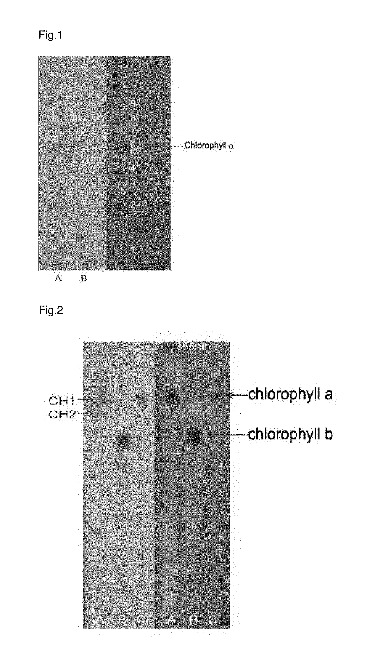 Composition comprising chlorella extract for preventing or treating liver disease