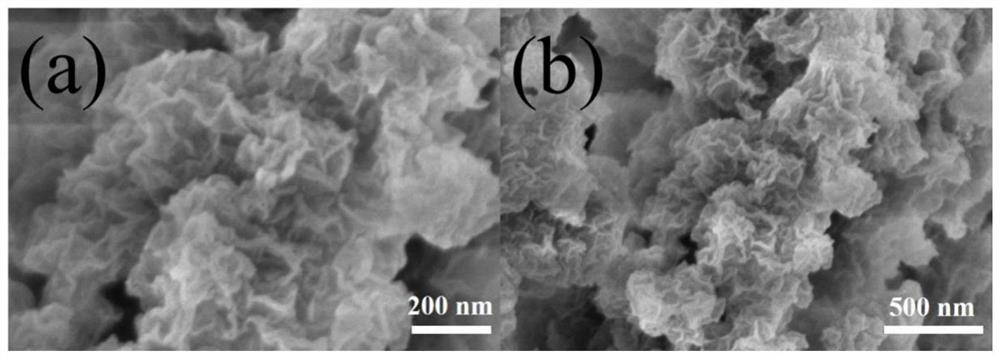 A kind of preparation method and application of amorphous metal oxide induced nico-btc nanosheet