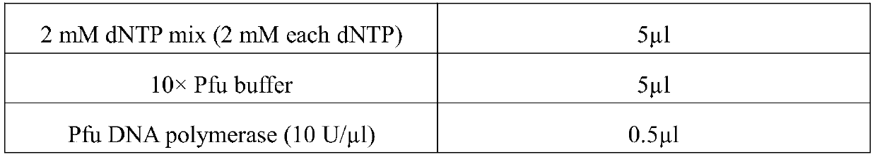 Method for preparing S-3-dimethylamino-1-(2-thienyl)-1-propanol through biocatalysis